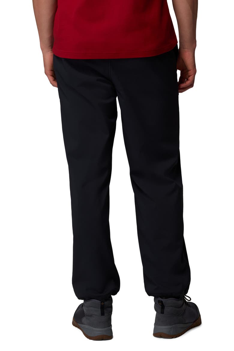 High Cascades Water Repellent Pants, Alternate, color, BLACK 010