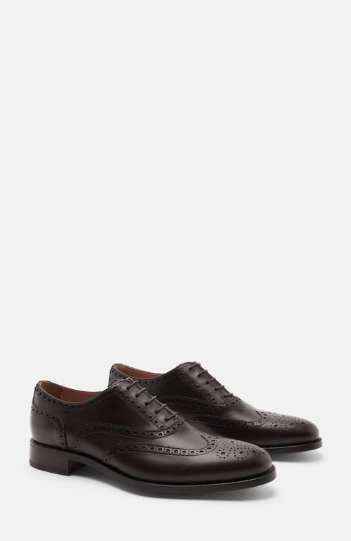 Scarosso Philip Oxfords