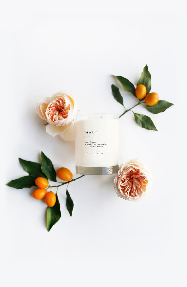 BROOKLYN CANDLE STUDIO Maui Classic 2-Wick Candle, Alternate, color, Maui