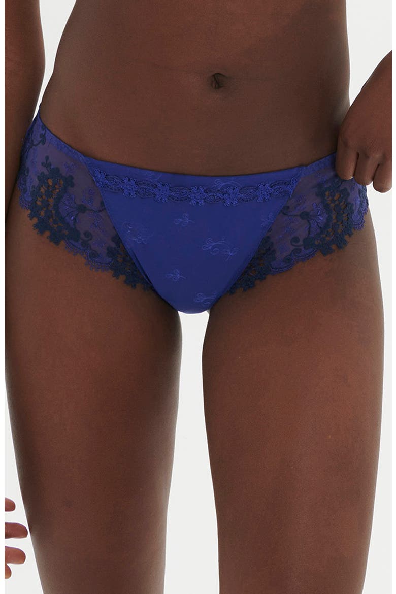 Wish Embroidered Lace Trim Bikini Briefs, Main, color, ELECTRIC BLUE