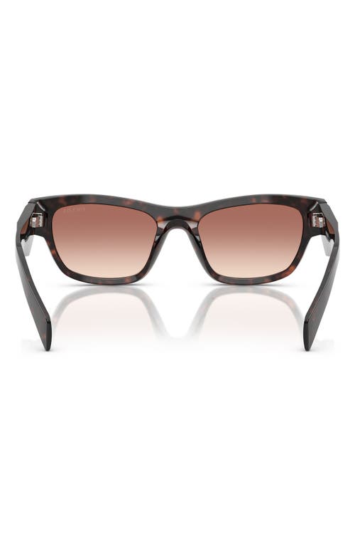 Prada Womens Brown Pr B09s Butterfly-frame Acetate Sunglasses In Bordeaux