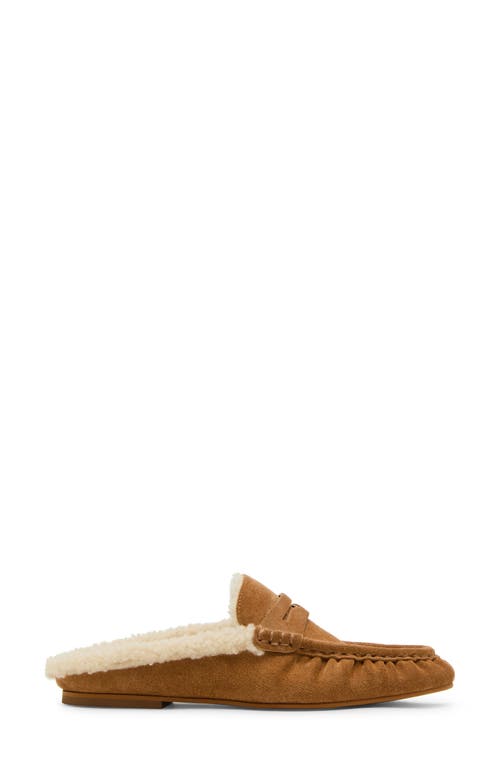 Steve Madden Rafe Genuine Shearling Mule In Brown