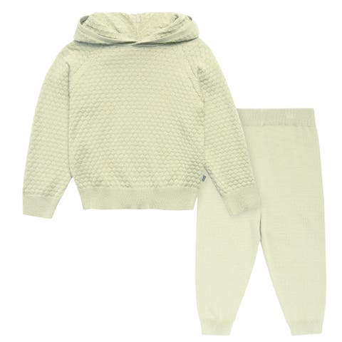 Sweater Knit Hoodie & Pant Set (Baby & Toddler)