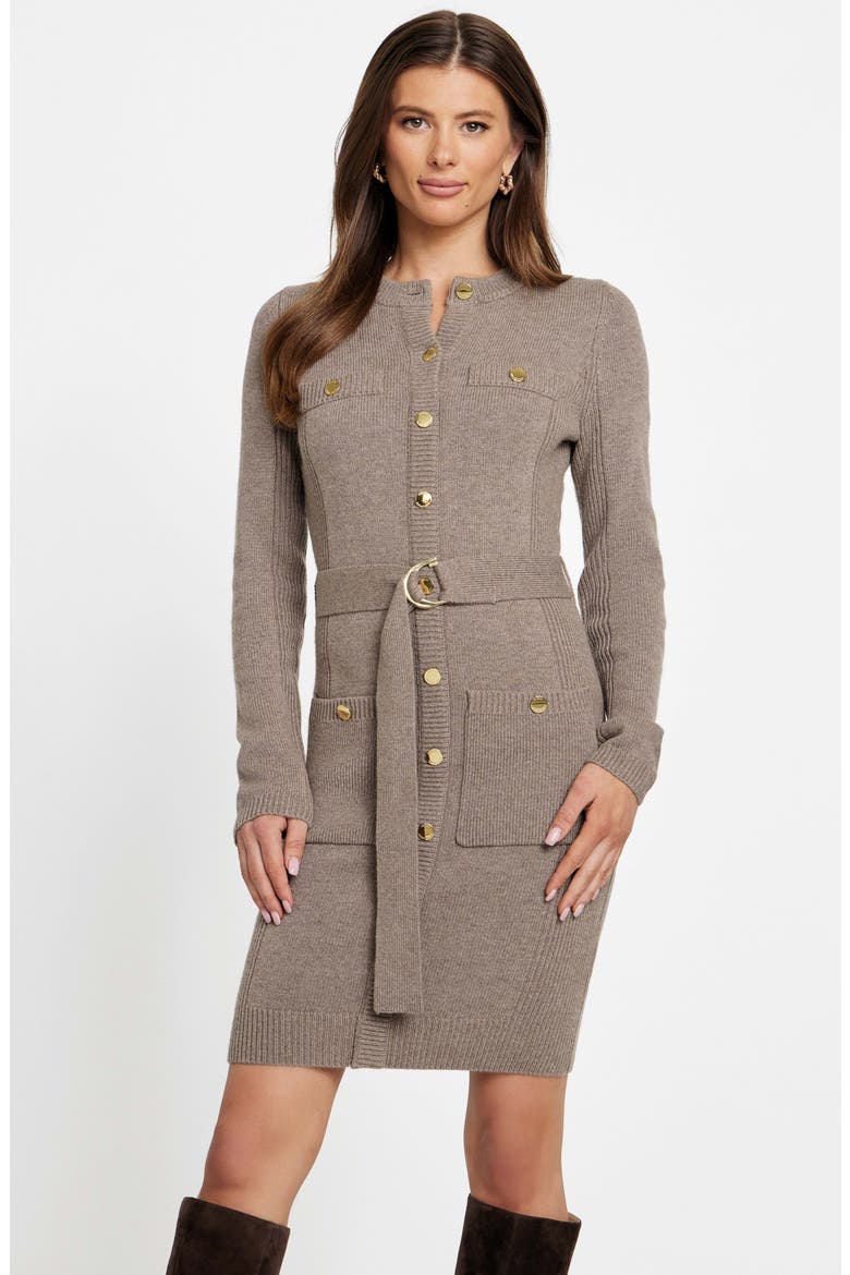 Afrah Long Sleeve Sweater Dress, Alternate, color, BEIGE