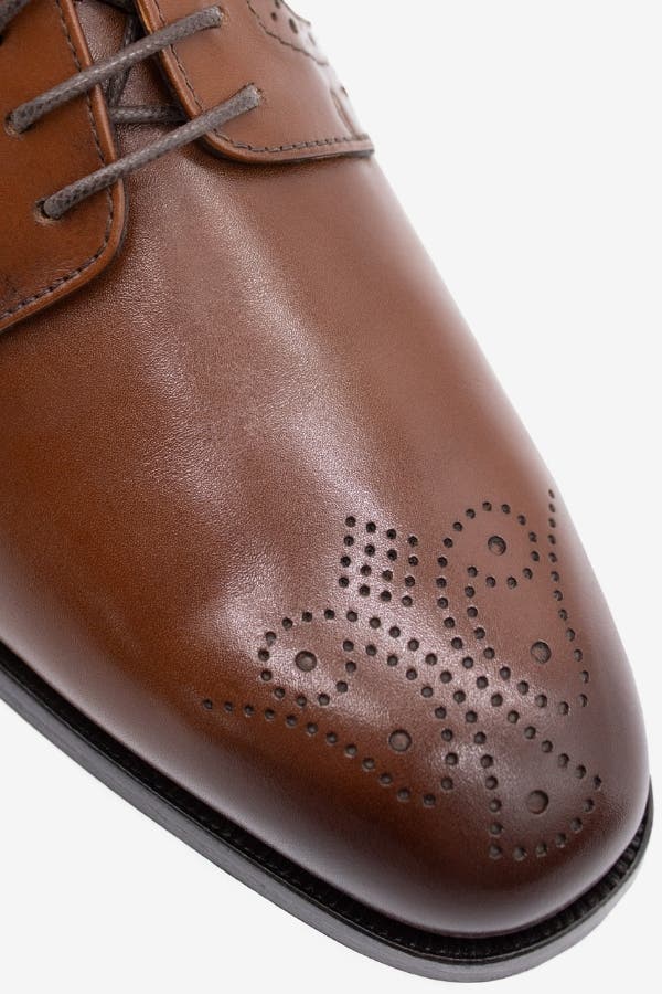 Cavalo Lusitano Leather Derby Brogue Shoes, Alternate, color, Brown