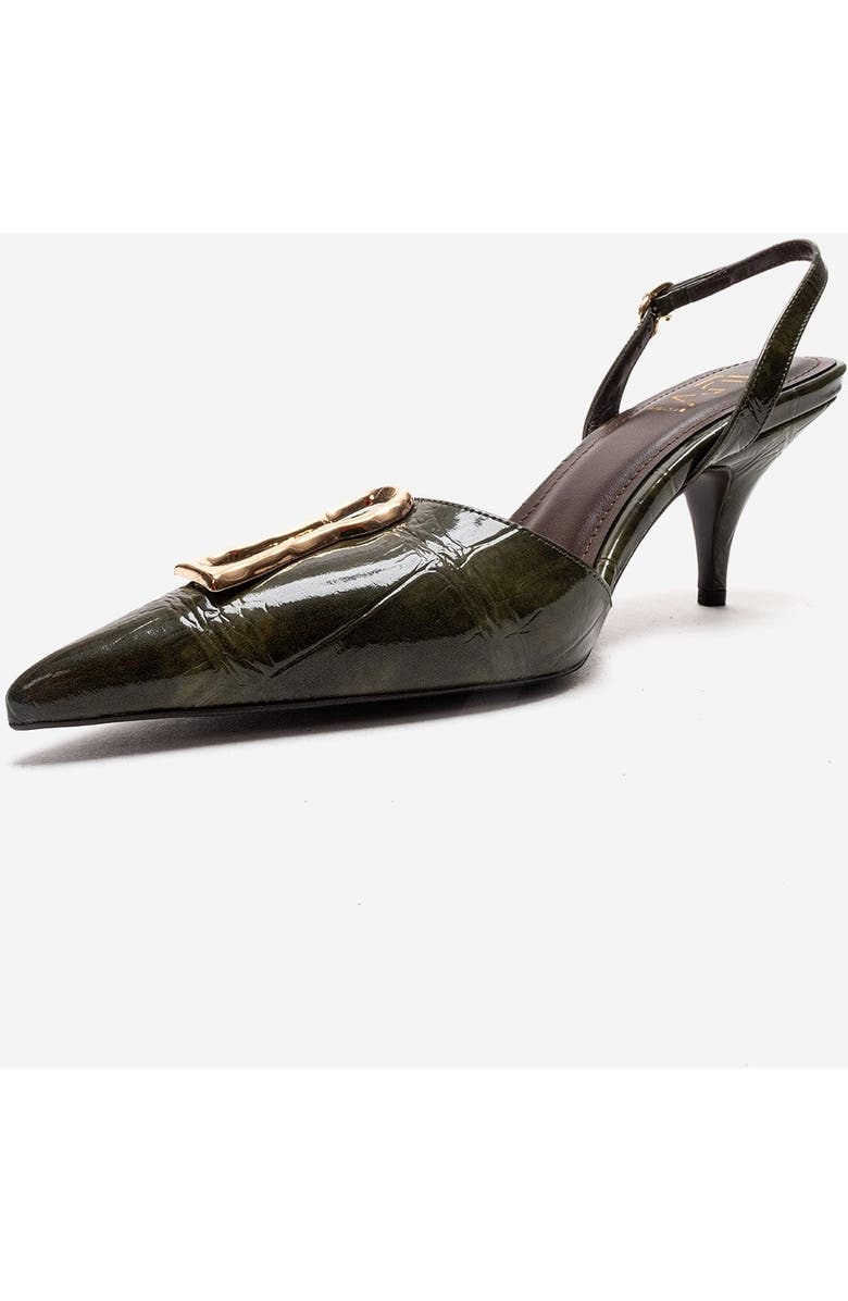 Prologue Shoes Yvella Buckle Pointed Toe Stiletto Pump, Alternate, color, Green Print