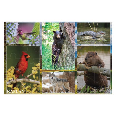 North American Animals Floor Puzzle - 24 Pieces