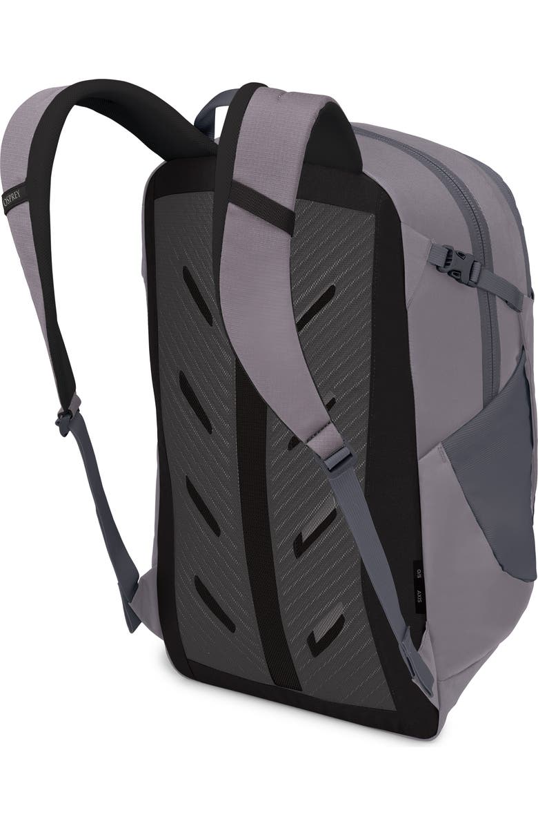 Osprey Axis 24-Liter Backpack, Alternate, color, Soundwave Grey