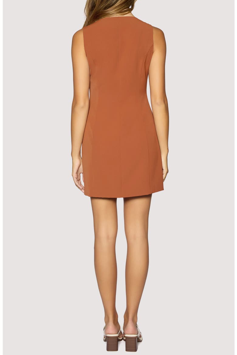 Stroll in Madrid Minidress, Alternate, color, BROWN