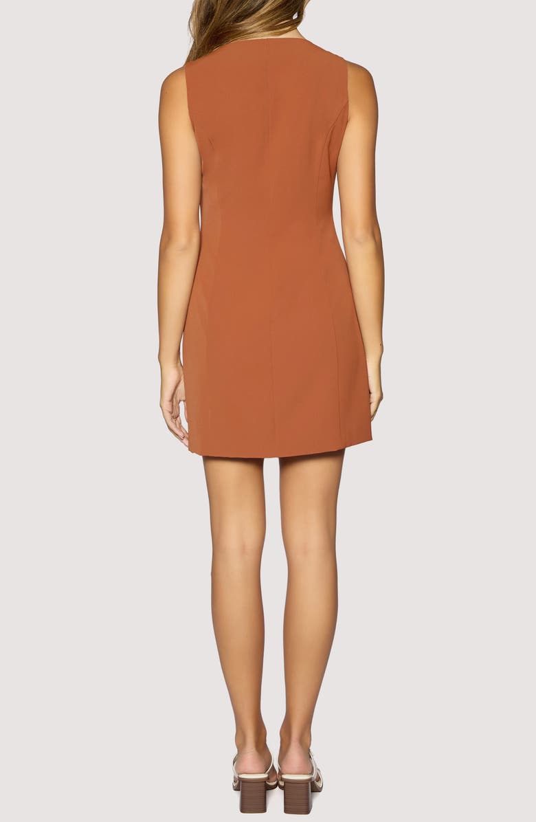 Lost + Wander Stroll in Madrid Minidress, Alternate, color, Brown