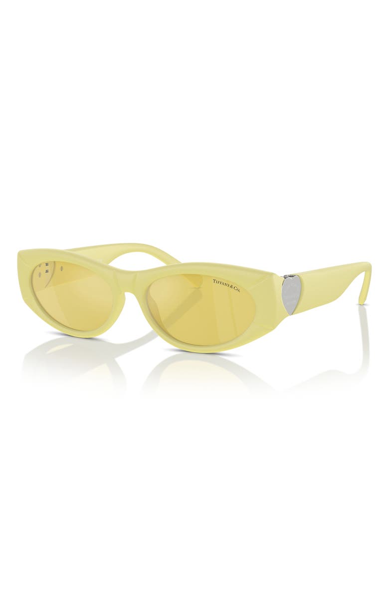 Tiffany & Co. 55mm Oval Sunglasses, Alternate, color, 