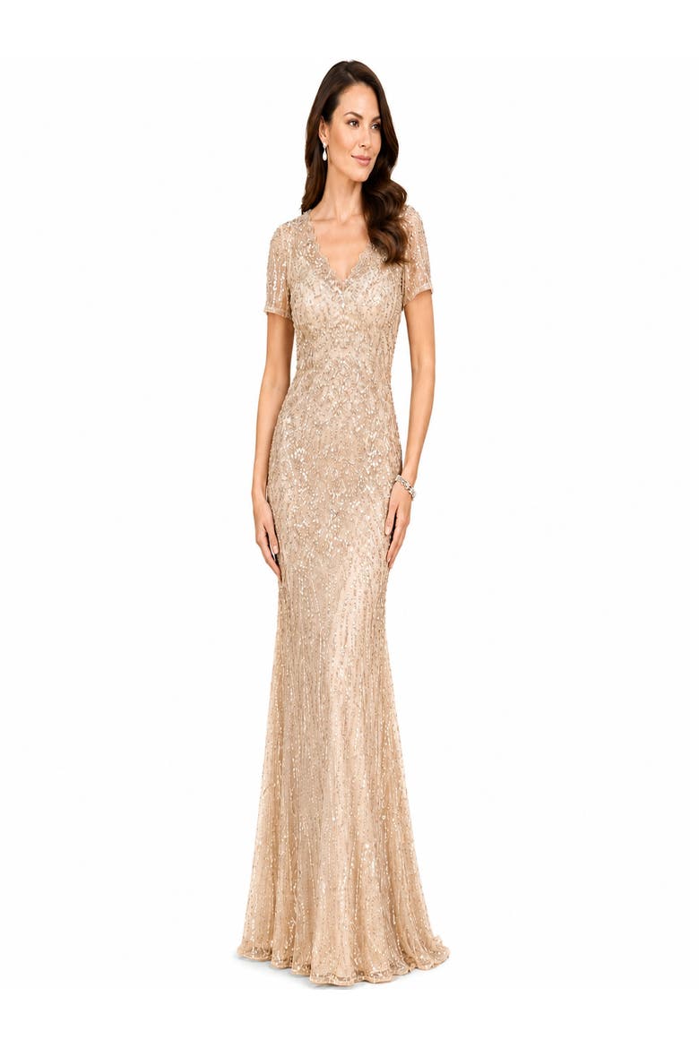 Short Sleeve Sheath Beaded Gown, Main, color, Nude