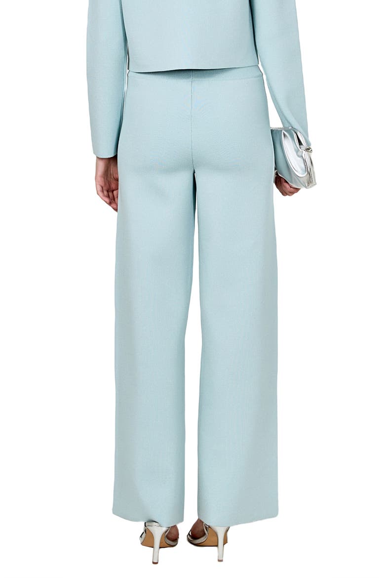 Relax Fit Sweater Pants, Alternate, color, POWDER BLUE