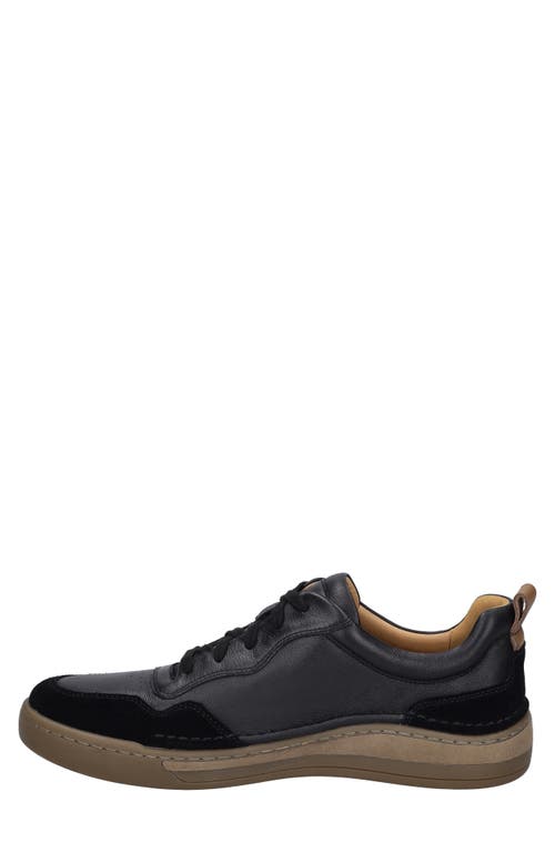 Josef Seibel Cleve 01 Sneaker In Black