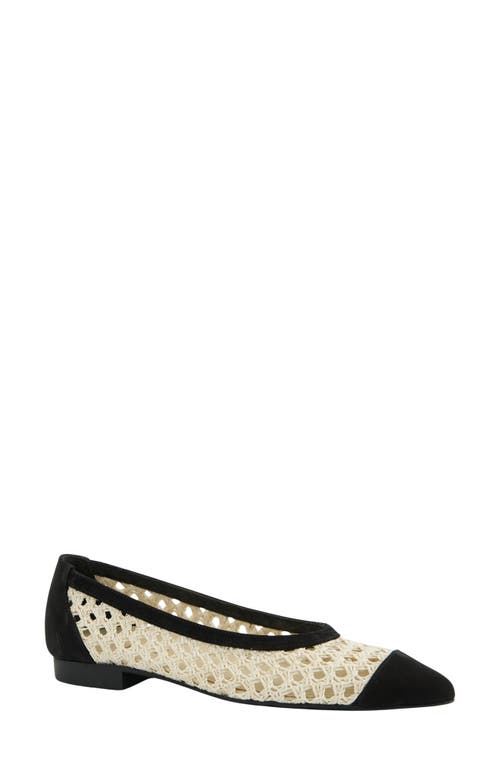 Paul Green Daisy Pointed Toe Flat In Pattern