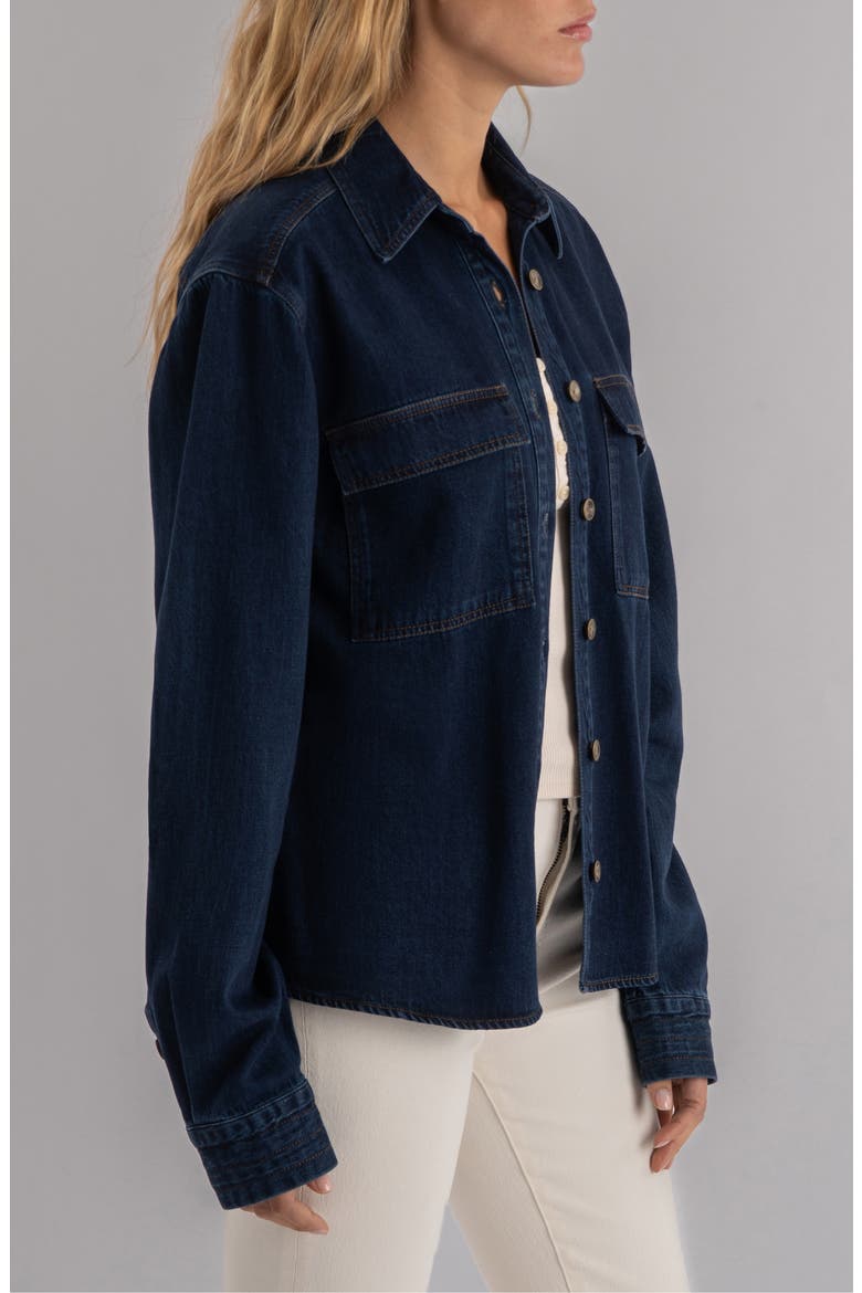 Channing Denim Shirt, Alternate, color, DISPOSITION