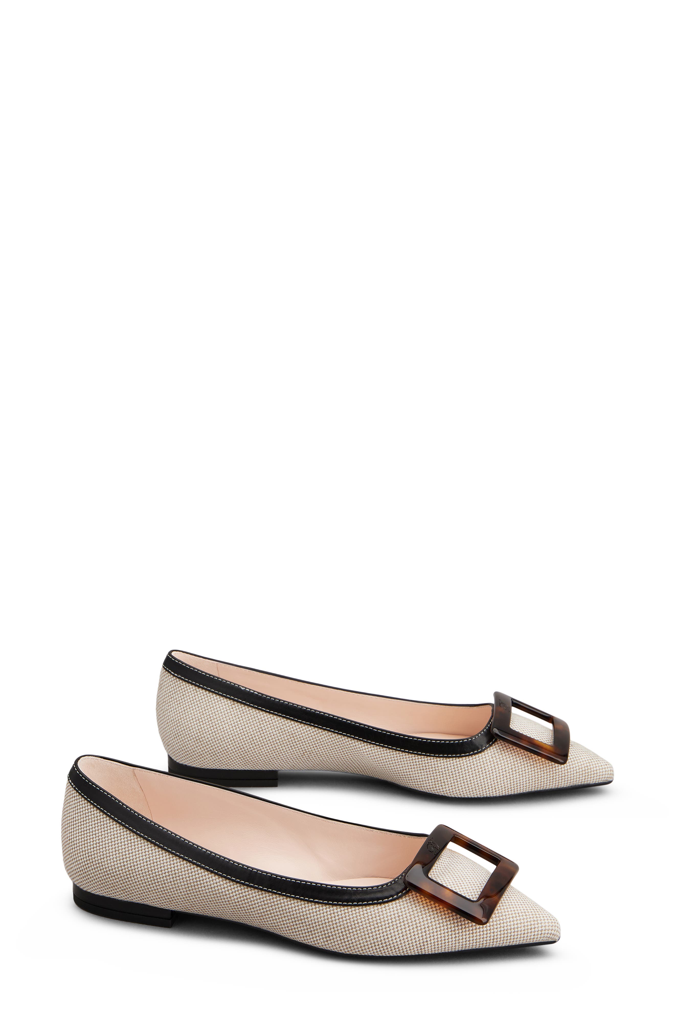 Roger Vivier Gommettine Pointed Toe Ballet Flat, Alternate, color, Daino/ Nero