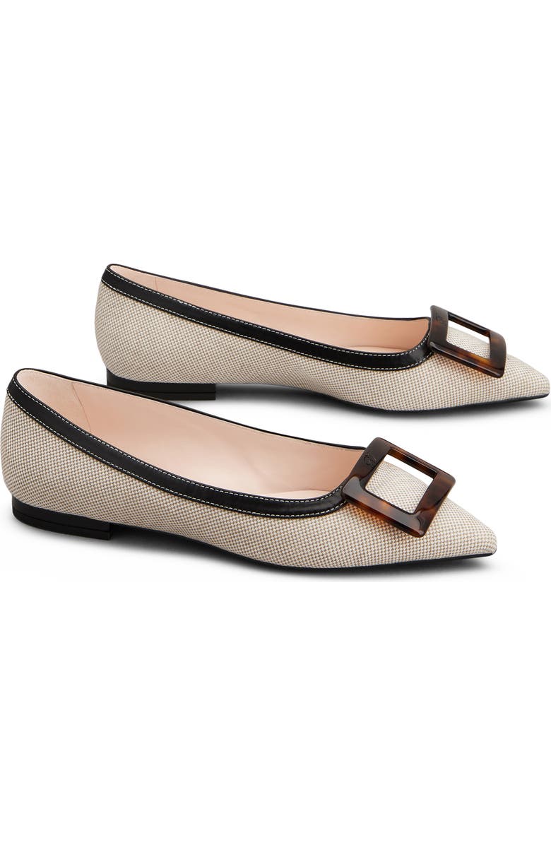 Roger Vivier Gommettine Pointed Toe Ballet Flat, Alternate, color, Daino/ Nero