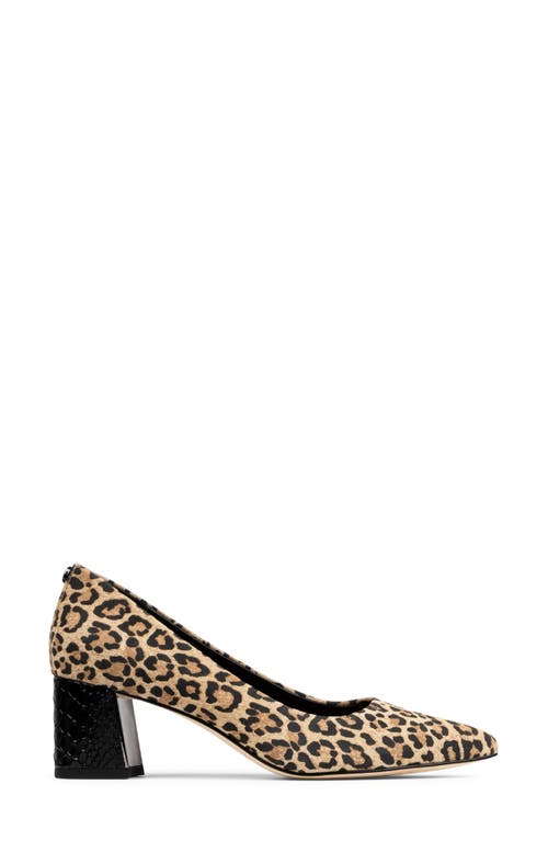 Donald Pliner Suzette Pointed Toe Pump In Black