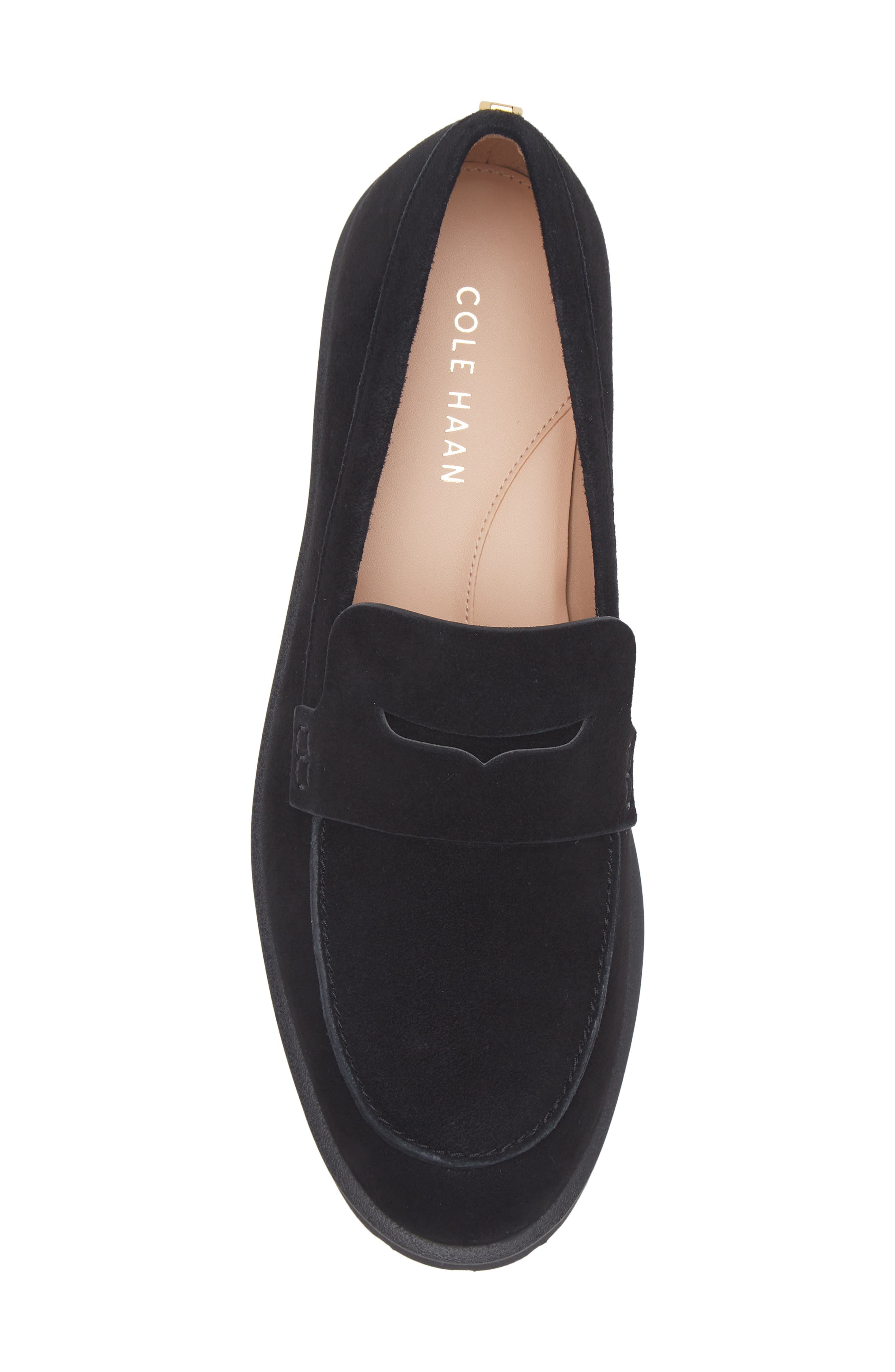 Cole Haan Gwendolyn Penny Loafer, Alternate, color, Black Suede
