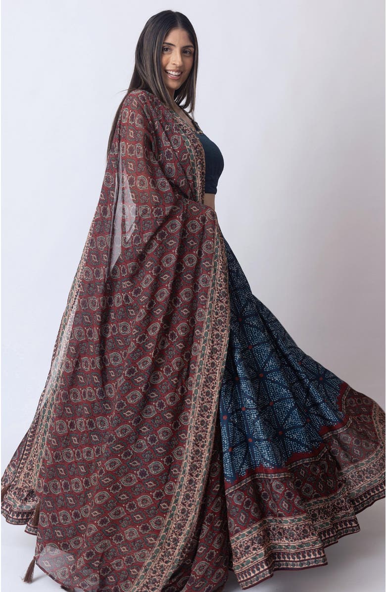 RAAS Kanika Bandhani Print Lehenga Choli, Alternate, color, 