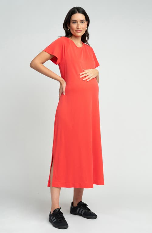 Shop Seraphine Maternity T-shirt Dress In Coral