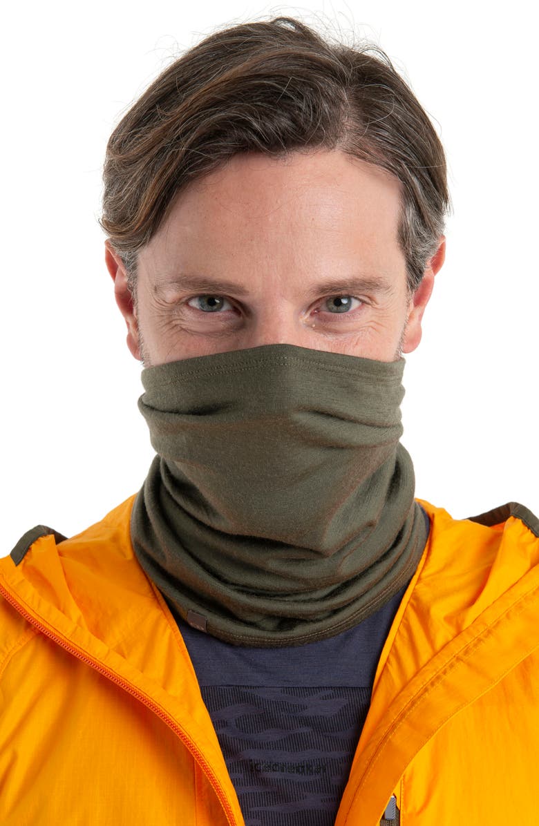 Icebreaker Oasis Flexi Chute Neck Gaiter, Alternate, color,