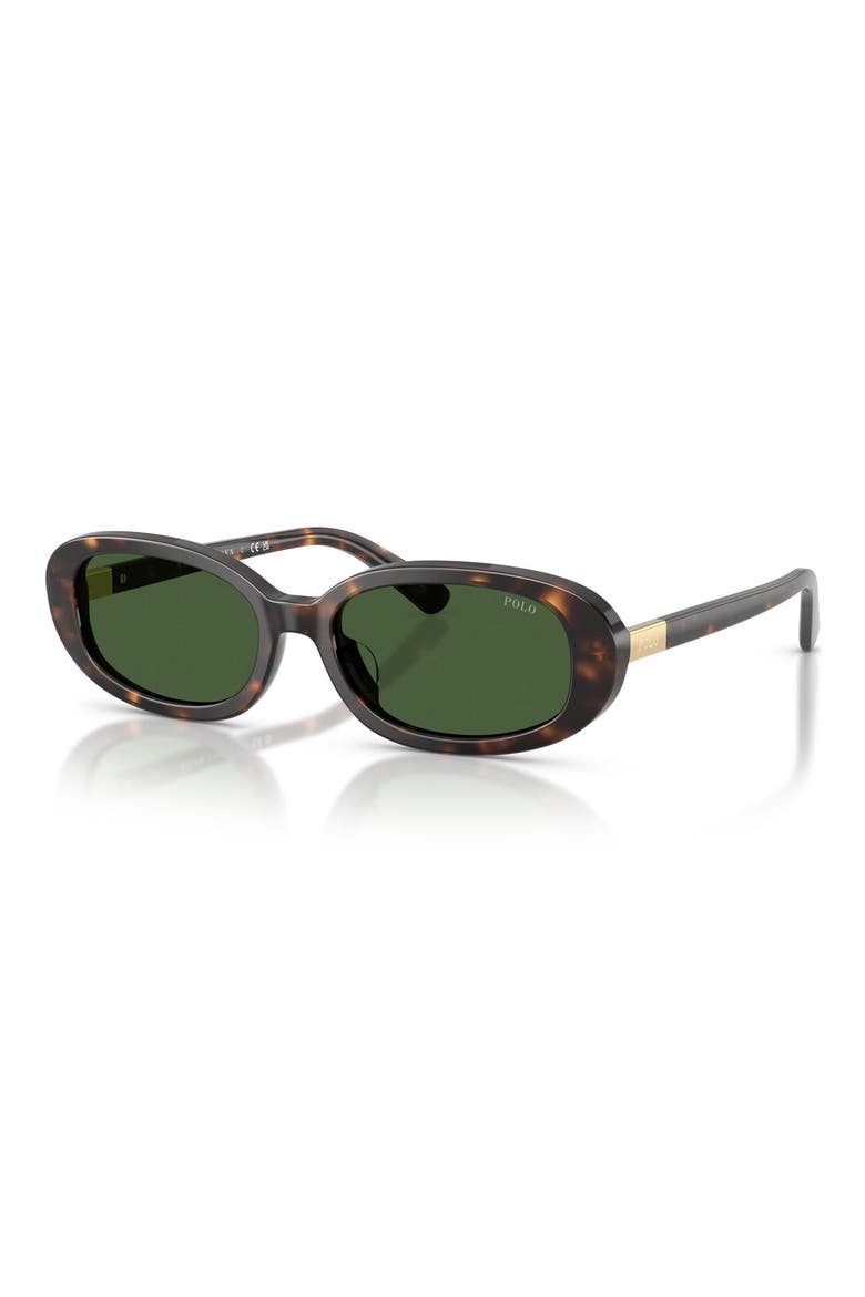53mm Oval Sunglasses, Alternate, color, SHINY DARK HAVANA / GREEN