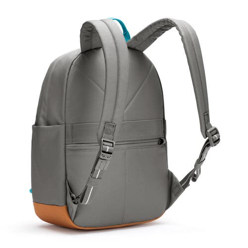 Pacsafe Go 15l Backpack In Gray