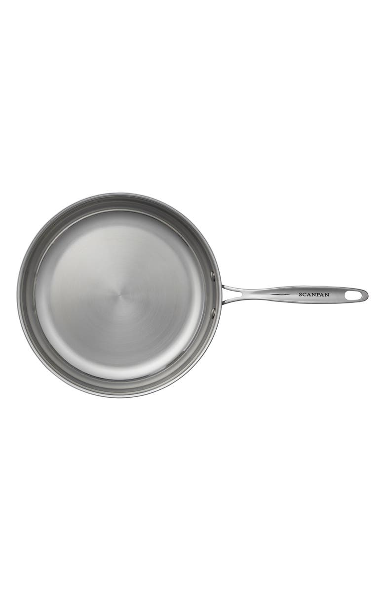 Scanpan Fusion 5 10.25-Inch Fry Pan, Alternate, color, Silver
