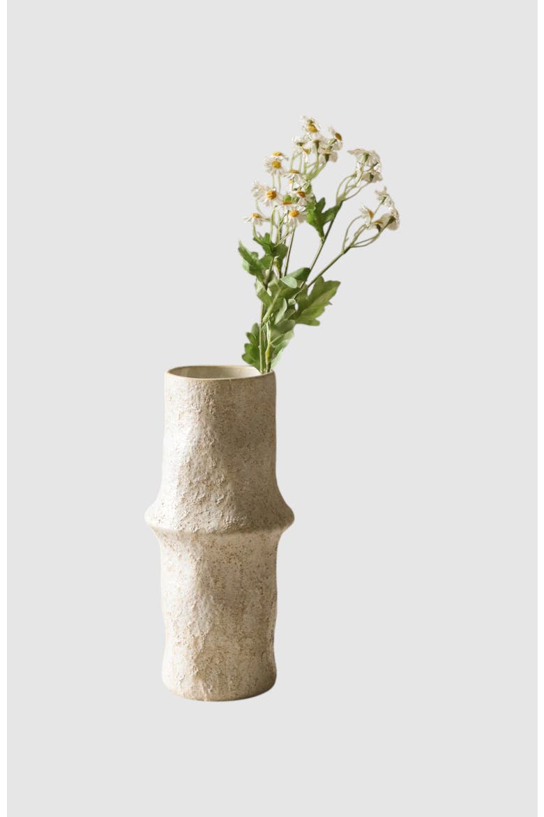 White Small Daisy Flowers, Main, color, White