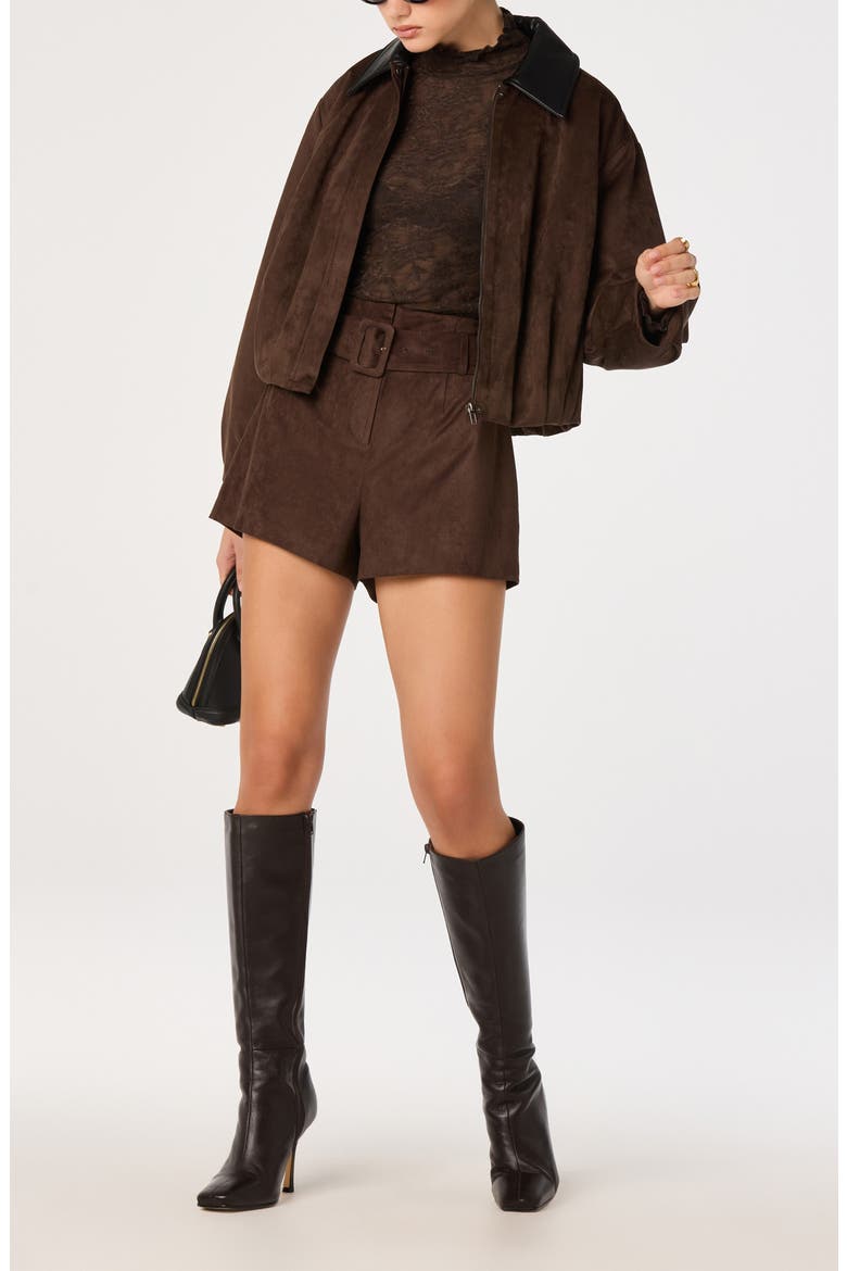 Raevin Faux Suede Jacket, Alternate, color, ESPRESSO