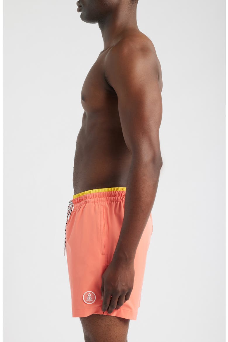 The Peach Perfects 5.5 Inch Swim Trunks, Alternate, color, CORAL
