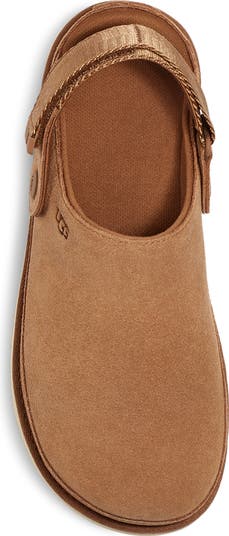 Goldenstar Clog
