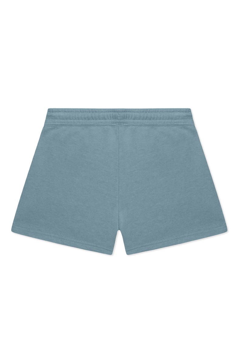 Womens Astronaut Midweight Washed Fleece Shorts, Alternate, color, Misty Blue