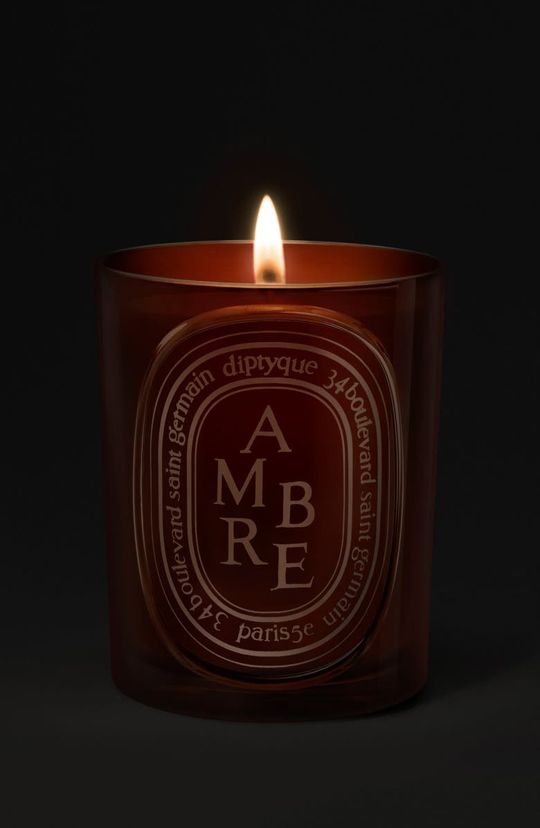 Diptyque Ambre (Amber) Medium Candle, Alternate, color, 