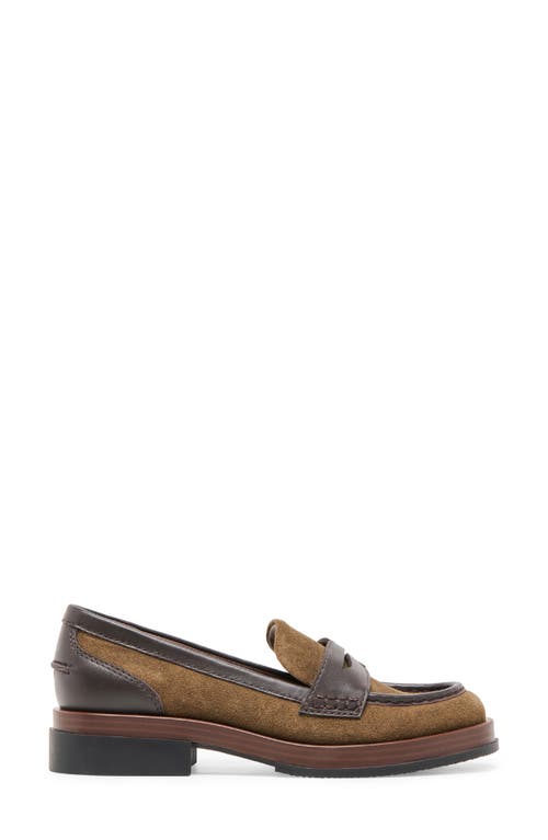 Dolce Vita Abey Penny Loafer In Brown