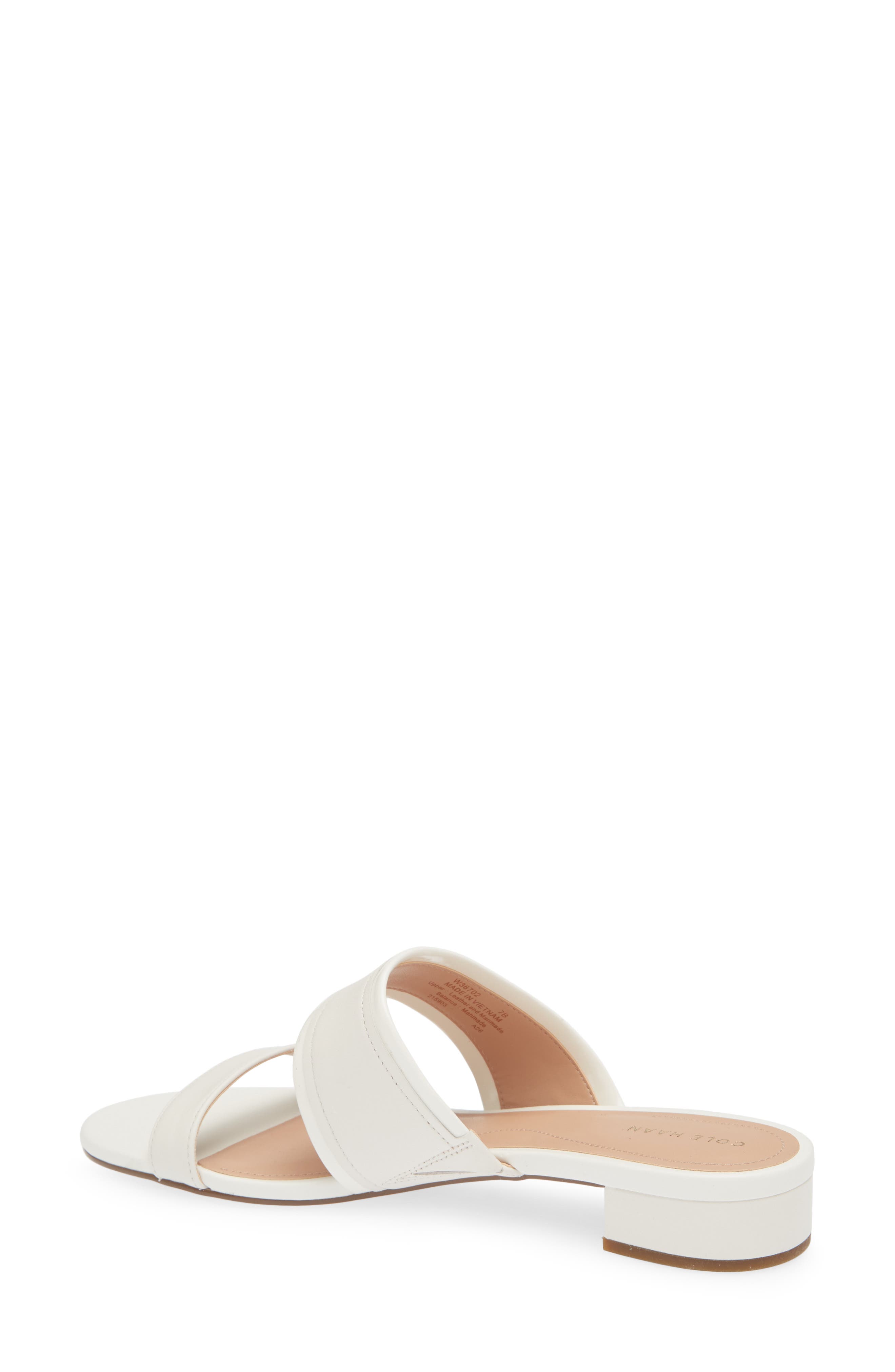 Fionna Wave Double Band Slide Sandals, Alternate, color, CH POWDER LEATHER