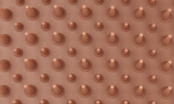 NATURALLY CURLY SIENNA