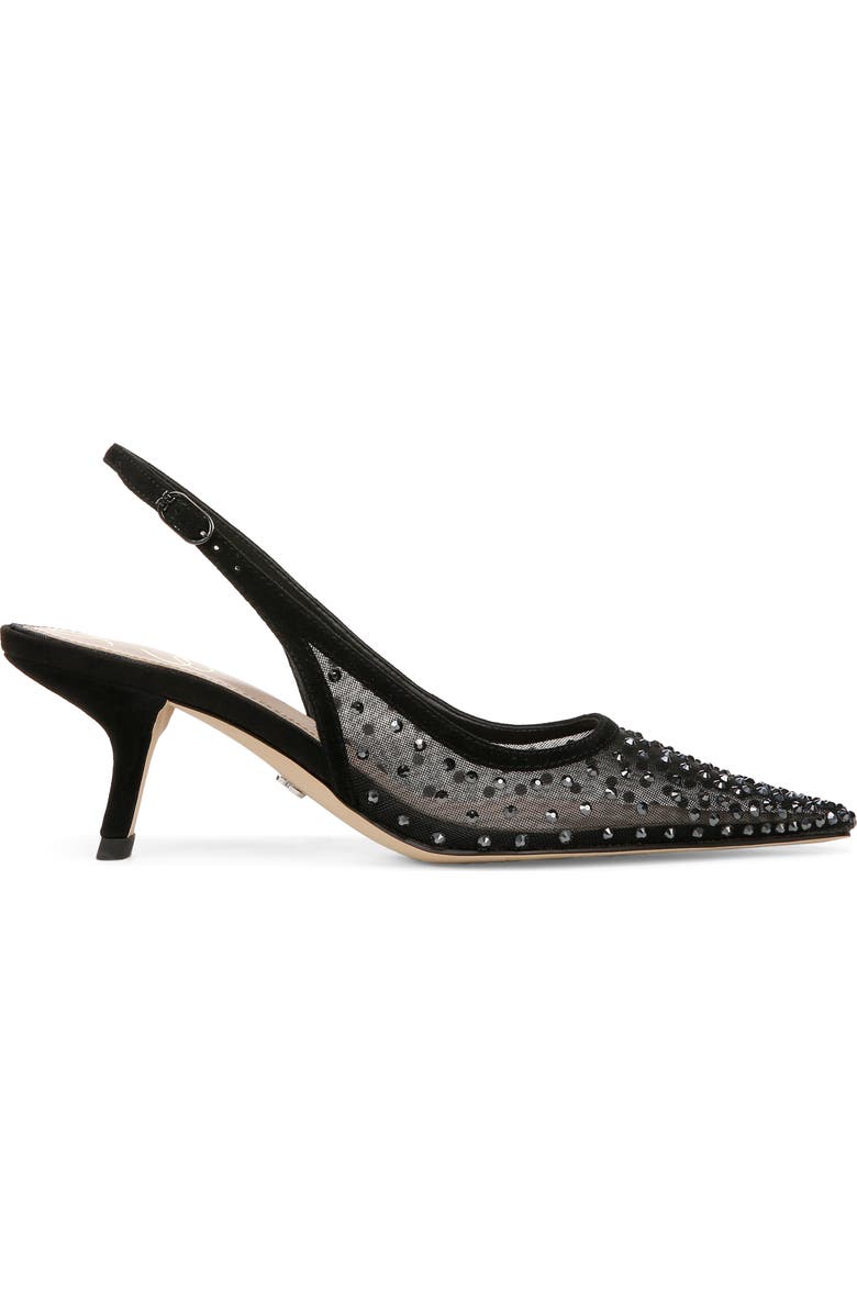 Sam Edelman Bianka Slingback Mesh Pointed Toe Pump, Alternate, color, Black