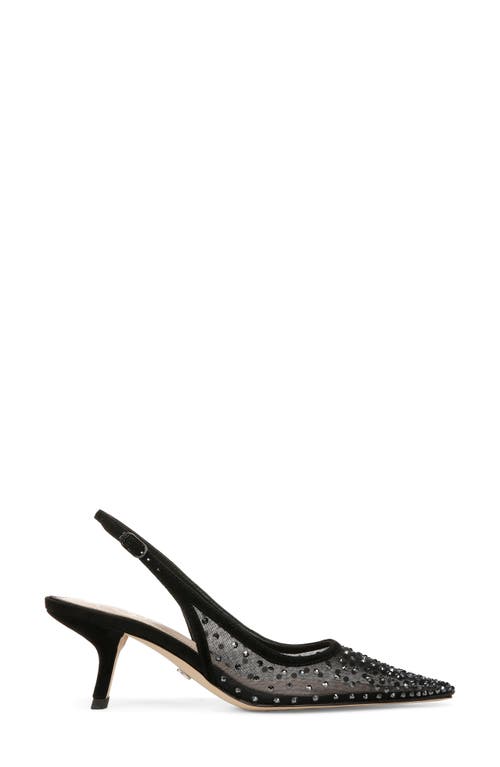 Shop Sam Edelman Bianka Slingback Mesh Pointed Toe Pump In Black Crystal