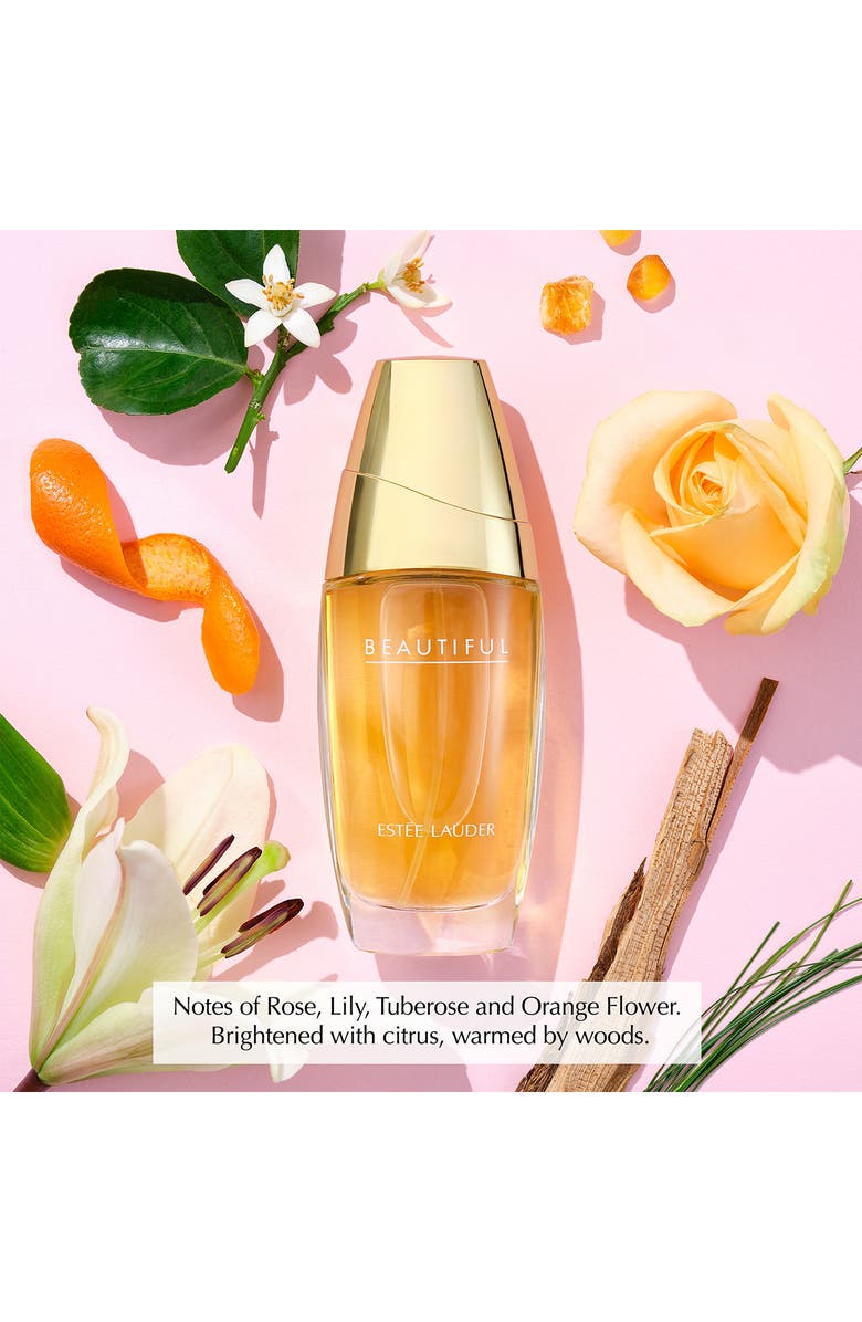 Estée Lauder Beautiful Eau de Parfum Luxurious Set (Limited Edition) $197 Value, Alternate, color,