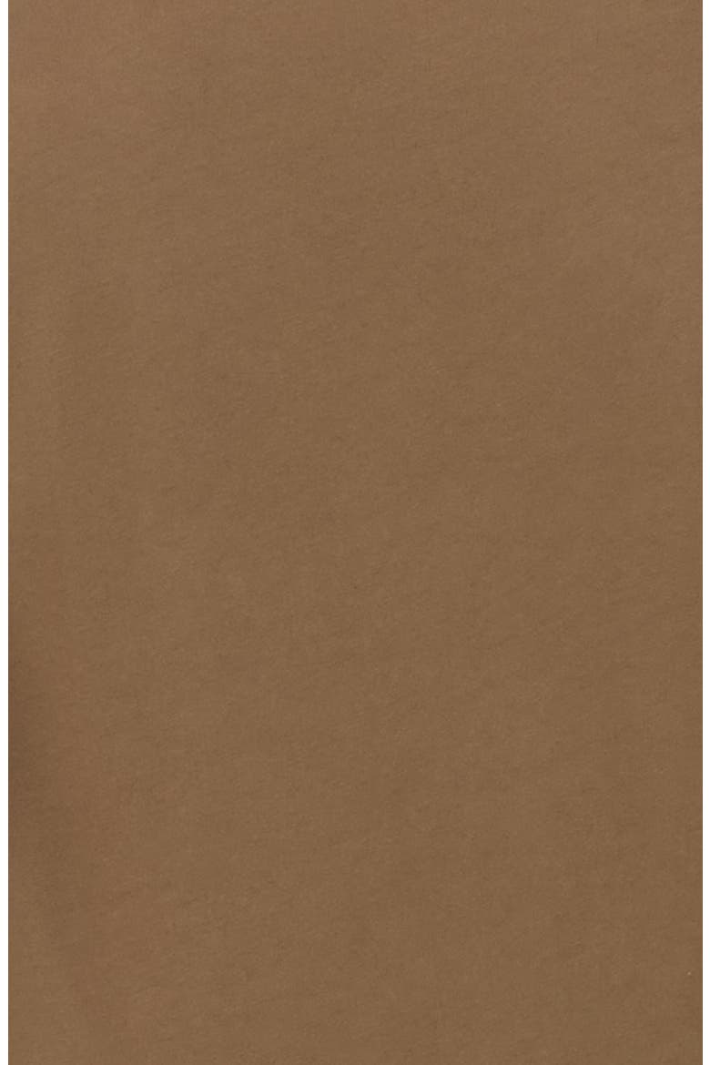 The Organic Cotton Crew Tee, Alternate, color, Mocha