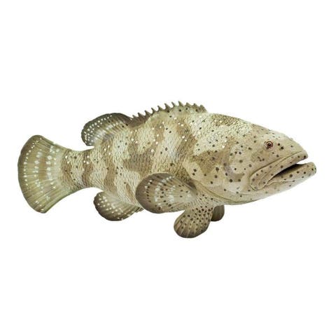 Goliath Grouper Toy
