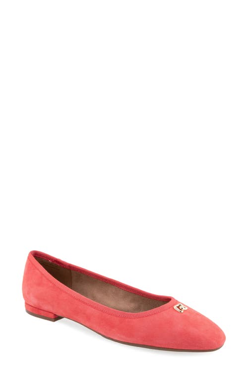 AEROSOLES AEROSOLES ARENA BALLET FLAT