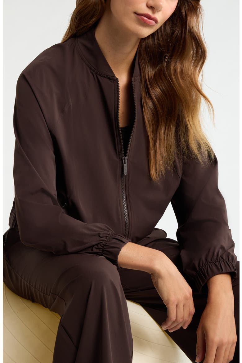Atlas Bomber Jacket, Alternate, color, BROWN MOLE