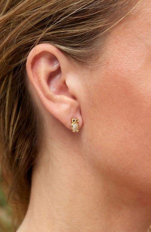 Savvy Cie Jewels Cz Owl Stud Earrings In Gold