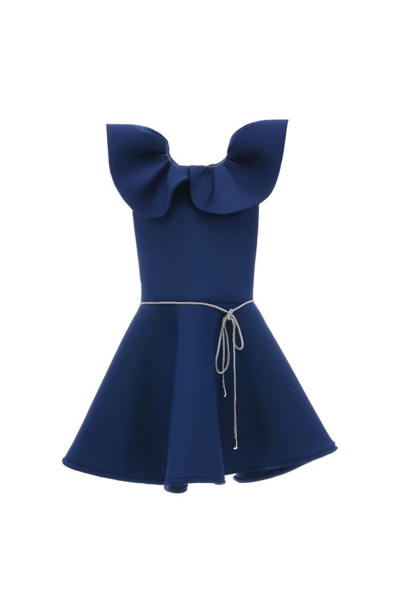 Mimi Tutu Iris Dress, Alternate, color, Navy