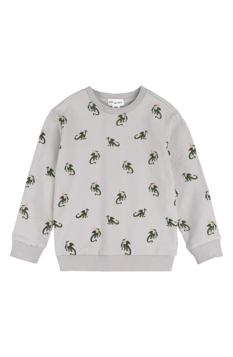 Little boys sweatshirts hotsell