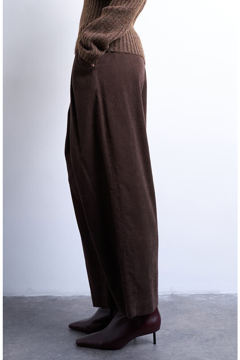 Cotton Corduroy Pants, Alternate, color, BROWN